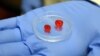 Scientists Say They May be Able to Print Live Human Tissue