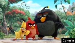 Angry Birds