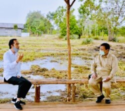 Presiden Jokowi dan Menhan Prabowo Subiyanto di lokasi pengembangan lumbung pangan nasional, Kalimantan Tengah, Kamis, 9 Juli 2020. (Foto: Courtesy/BPMI Setpres)