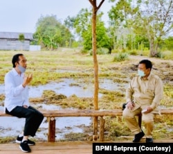 Presiden Jokowi dan Menhan Prabowo Subiyanto di lokasi pengembangan lumbung pangan nasional, Kalimantan Tengah, Kamis, 9 Juli 2020. (Foto: Courtesy/BPMI Setpres)