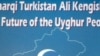 维吾尔人华盛顿召开国际会议