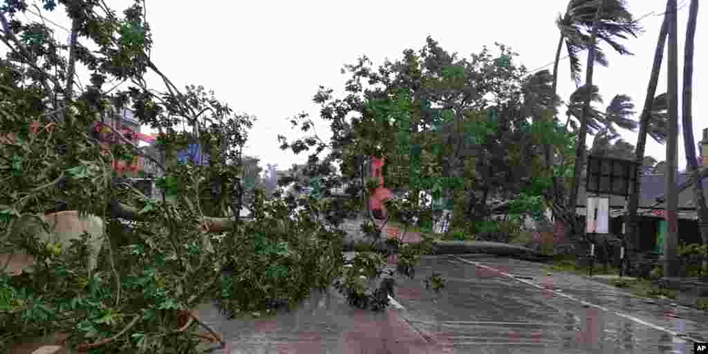 အိန္ဒိယနိုင်ငံအရှေ့ပိုင်း Orissa ပြည်နယ် Chandbali မှာ Amphan ဆိုင်ကလုန်း မုန်တိုင်းမတိုက်ခတ်ခင် လေတိုက်တာကြောင့် သစ်ပင်များ ကျိုးကျနေတဲ့ မြင်ကွင်း (မေ ၂၀၊ ၂၀၂၀)