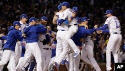 Chicago Cubs players celebrate after Game 6 of the National League baseball championship series against the Los Angeles Dodgers, Saturday, Oct. 22, 2016, in Chicago. The Cubs won 5-0 to win the series and advance to the World Series against the Cleveland Indians.