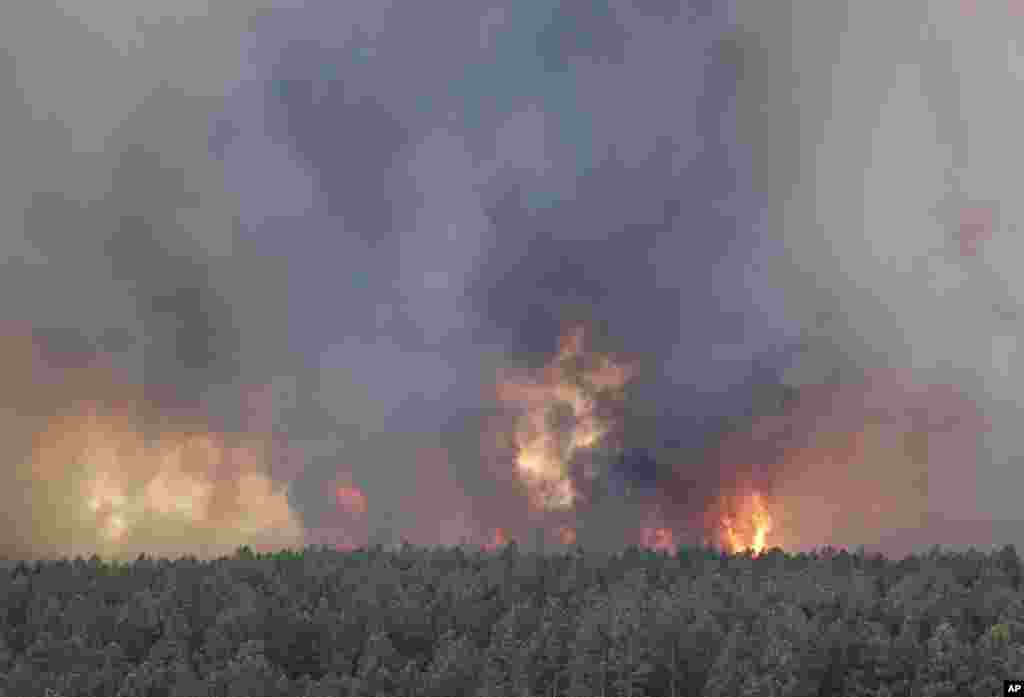 Fire is seen in the Black Forest area north of Colorado Springs, Colorado, June 12, 2013. 