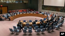 Delegates vote on a resolution in the United Nations Security Council, Aug. 29, 2013. 