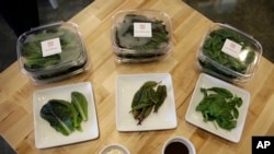 In this Thursday, Sept. 27, 2018, photo from left, packages of red romaine, red veined sorrel and basil are displayed at Iron Ox, a robotic indoor farm, in San Carlos, Calif. (AP Photo/Eric Risberg)