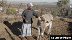“We love our donkeys because they’re the only source of income,” Mpho Mashele says. “Without them, we will starve.” (Courtesy - Zaheer Cassim