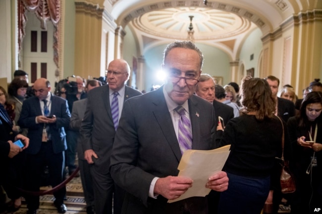 Lider manjine u Senatu Chuck Schumer