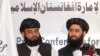 طالبان: ما هم صلح می خواهیم 