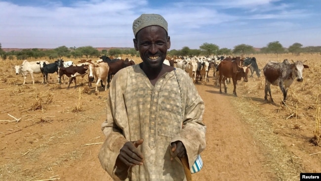 A Fulani cattle herder walks with his cows outside the city of Tillaberi, southwest Niger, about 100 km south of the Mali border, Niger, Nov. 1, 2017.