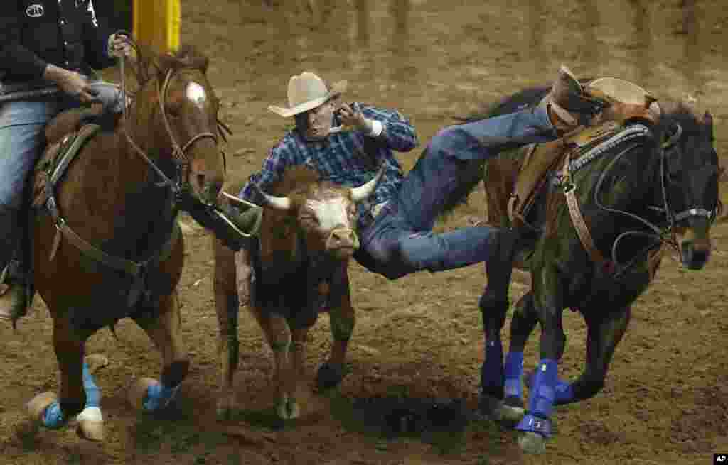 د امریکا په لاس ویګاس کې د امریکا د یوې دودیزې لوبې (Rodeo) صحنه