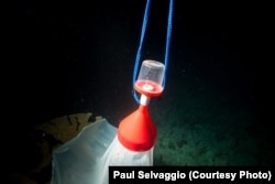 Nets and bottles are the tools for one method of collecting wild coral spawn.