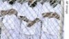 Pentagon Bans Four Reporters from Guantanamo Trials