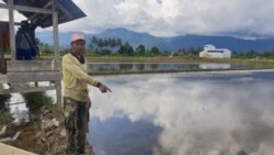 I Made Sadia (53) petani sawah asal desa Meko memperlihatkan lahan sawah yang tidak bisa diolah petani karena terendam, Kamis, 14 Maret 2021. (Foto: Yoanes Litha)