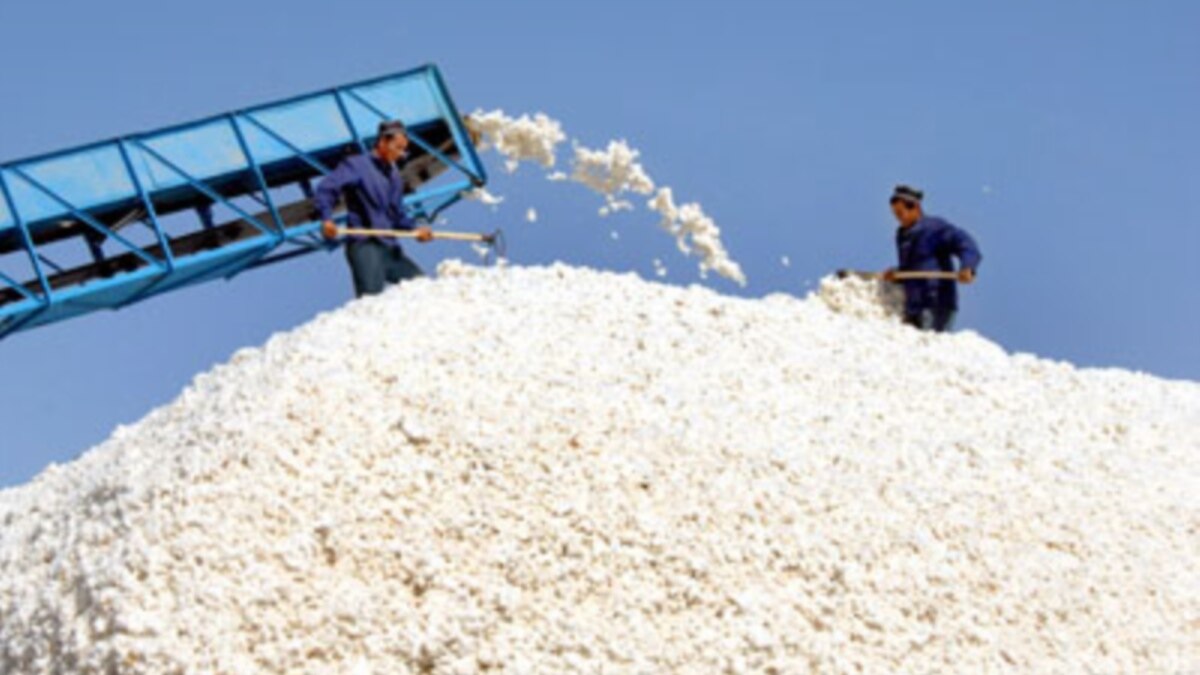 How Long Is A Cotton Picking Minute