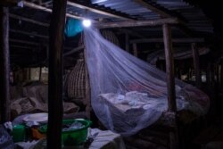 FILE - Wrapped in a mosquito net to protect from malaria, a trader sleeps in a mosquito net at Busega market in Kampala, Uganda, April 03, 2020.
