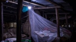 Au Cameroun, la société civile sensibilise contre le paludisme
