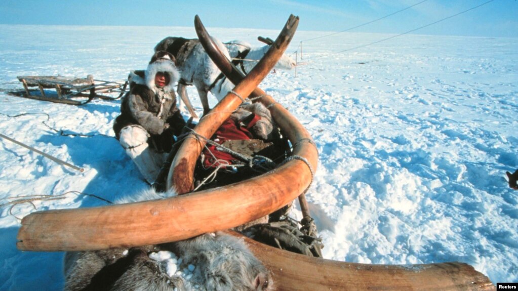 Сибирь. Вечная мерзлота (архивноефото)