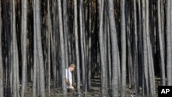 A man walks through the burned forest near the town of Voronezh some 500 km (294 miles) south of Moscow, Saturday, July 31, 2010.