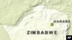 Zimbabwe's Crisis
