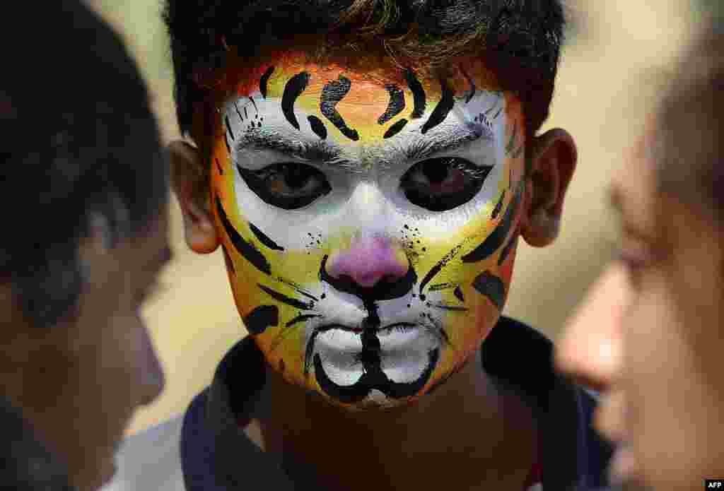 An Indian student with his face painted as a tiger stands with his classmates as he awaits for the judgement of a face painting competition at the Kids for Tigers Annual Tiger Fest in Mumbai.