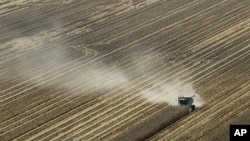 In this Aug. 16, 2012 file photo, dust is blown from behind a combine harvesting corn in a field near Coy, Ark. 