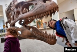 FILE - A boy looks inside the skull a Tyrannosaurus rex replica at the Egidio Feruglio Museum in the Argentina's Patagonian city of Trelew, May 18, 2014.