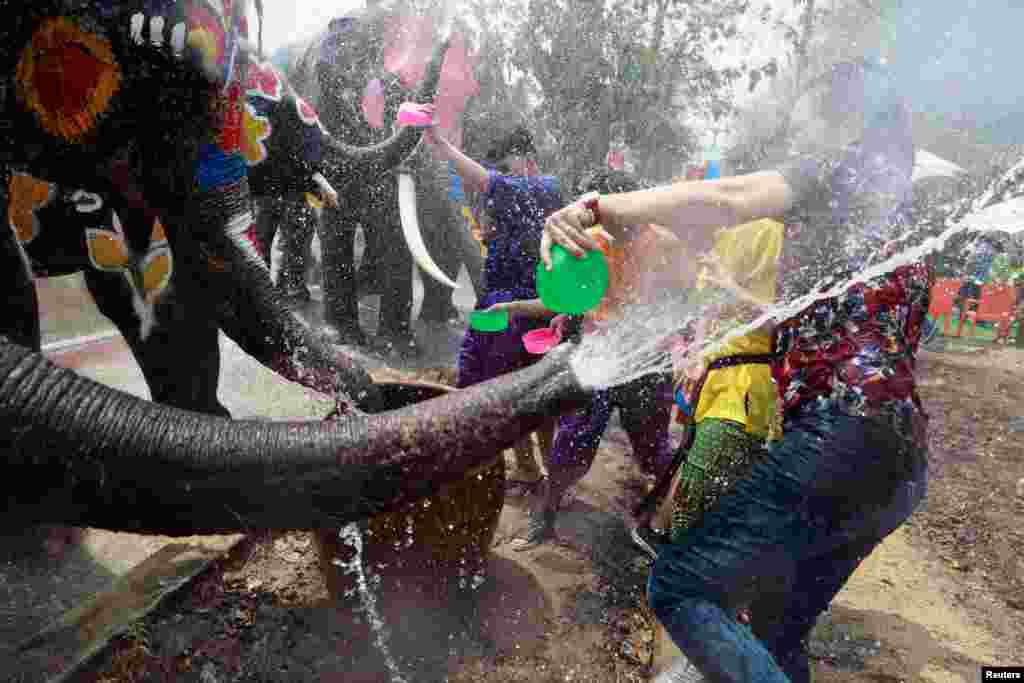 Elephants and people play with water as part of celebrations for the water festival of Songkran, which marks the start of the Thai New Year in Ayutthaya, Thailand.