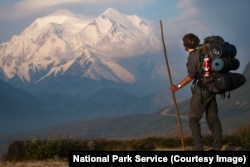 A hiker looks out onto Denali peak