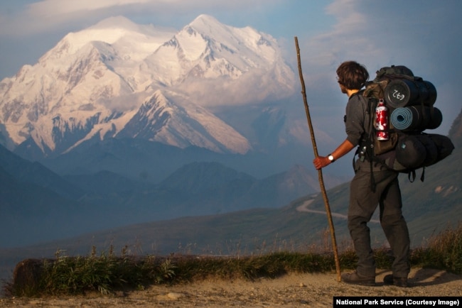 A hiker looks out onto Denali peak