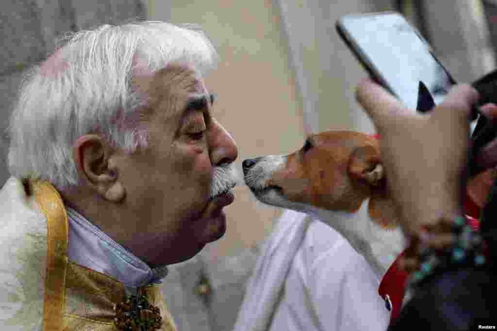 A priest whispers to a dog after blessing it on the day of Spain&#39;s patron saint of animals, Saint Anthony, outside San Anton Church in Madrid, Spain.