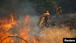 Firemen battle a spot fire near Plymouth, California, July 26, 2014.