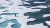 Les glaces hivernales de l'Arctique au plus bas depuis 38 ans