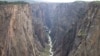 Wild Surroundings at Black Canyon of the Gunnison