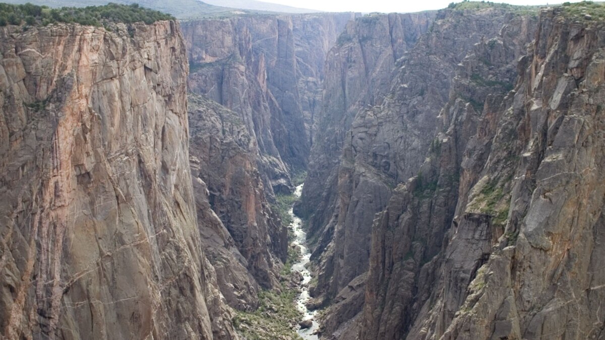 Wild Surroundings at Black Canyon of the Gunnison