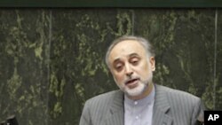 Iran's Foreign Minister Ali Akbar Salehi (file photo)