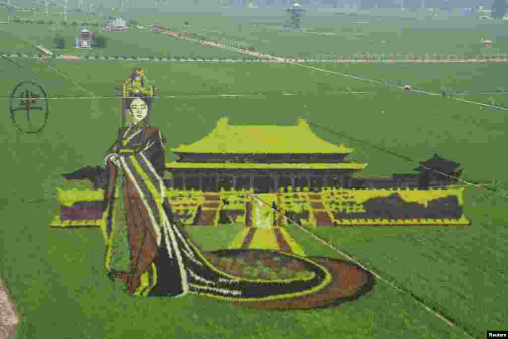 Rice saplings of different colors and varieties are planted to form a 3D image of Mi Yue, a character from the TV series &quot;The Legend of Mi Yue,&quot;&nbsp;at a rice paddy field in Shenyang, Liaoning Province, China, July 10, 2016.