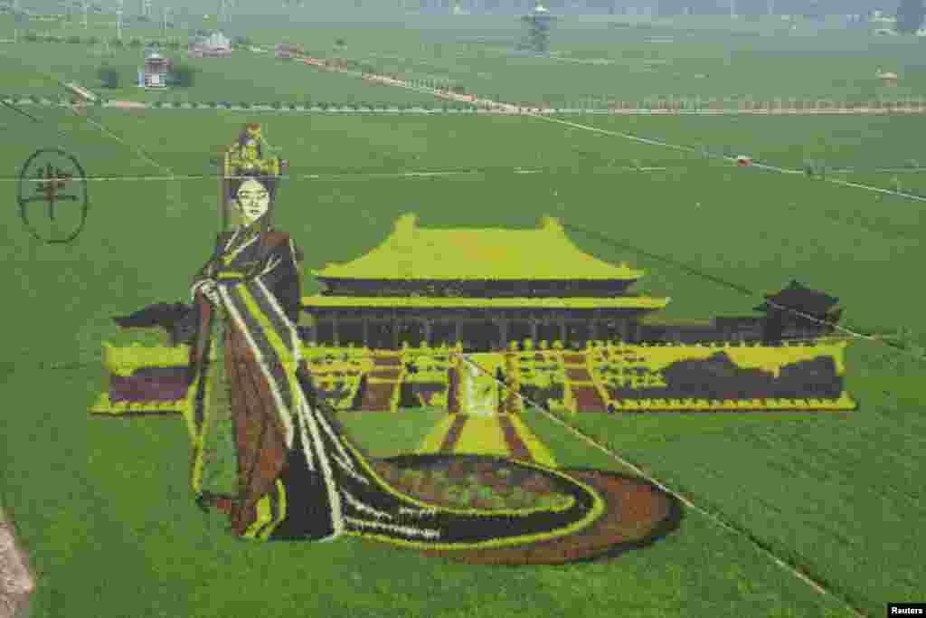 Gambar 3Dimensi &#39;Mi Yue&#39; karakter dari serial TV&nbsp;&quot;The Legend of Mi Yue,&quot;&nbsp;yang dibentuk dari tanaman padi di sawah di Shenyang, Liaoning, China.