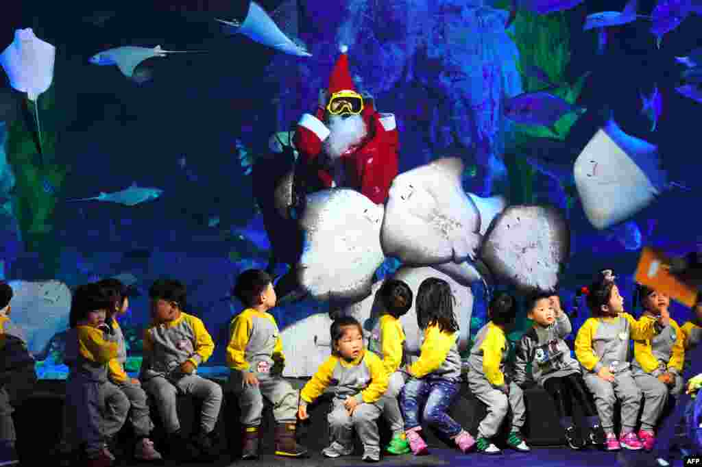 A South Korean diver wearing a Santa Claus outfit swims with fish in a tank during a Christmas event at the Lotte World Aquarium in Seoul.