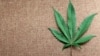 Study: Cannabis Compound CBD May Help Prevent, Treat COVID