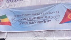 ከሃያ ዓመታት በኋላ የኤርትራ ልዑካን አዲስ አበባ ገቡ