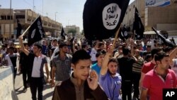 تحلیلگران ظهور داعش را ناشی از بحران سیاسی در عراق و سوریه می دانند