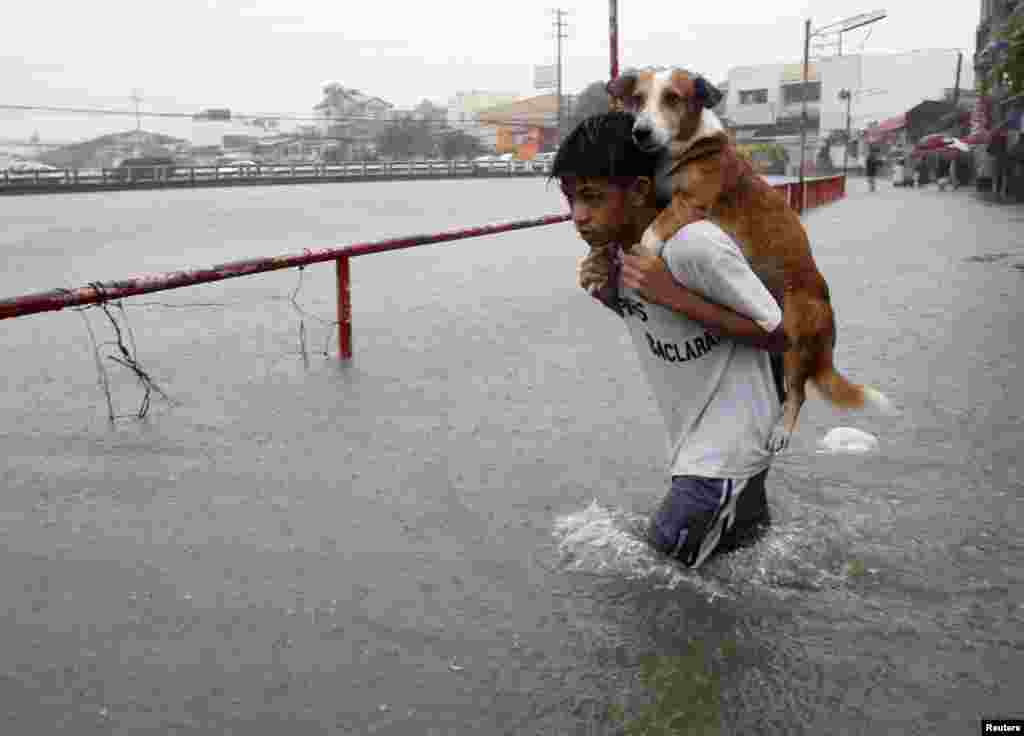 A boy carries his dog in floodwaters in Paranaque city, metro Manila, August 20, 2013. 