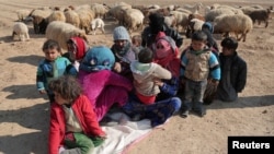 FILE - Internally displaced Syrians who fled Raqqa city rest near sheep in northern Raqqa province, Syria, Feb. 6, 2017. 