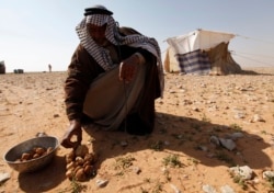 A man sells Terfeziaceae, or desert truffles, in a desert south of Samawa, 270 km south of Baghdad February 10, 2013. Truffles are expensive at $45 per kilogram, and are considered a delicacy in Iraq. (Reuters Photo/Mohammed Ameen)