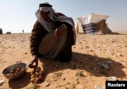 A man sells Terfeziaceae, or desert truffles, in a desert south of Samawa, 270 km south of Baghdad February 10, 2013. Truffles are expensive at $45 per kilogram, and are considered a delicacy in Iraq. (Reuters Photo/Mohammed Ameen)