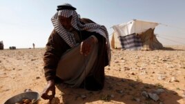 A man sells Terfeziaceae, or desert truffles, in a desert south of Samawa, 270 km south of Baghdad February 10, 2013. Truffles are expensive at $45 per kilogram, and are considered a delicacy in Iraq. (Reuters Photo/Mohammed Ameen)