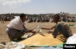 A farmer receives grain at an emergency food aid distribution in the village of Estayish in Ethiopia's northern Amhara region, Feb. 11, 2016.