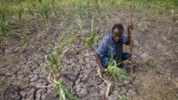 Helping to Mitigate Ethiopia's Drought