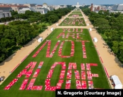 Women, men and children from across the United States and Mexico, all survivors of sexual violence, shared their message in The Monument Quilt. On the National Mall, the quilts were laid out to form the message that survivors are not alone.